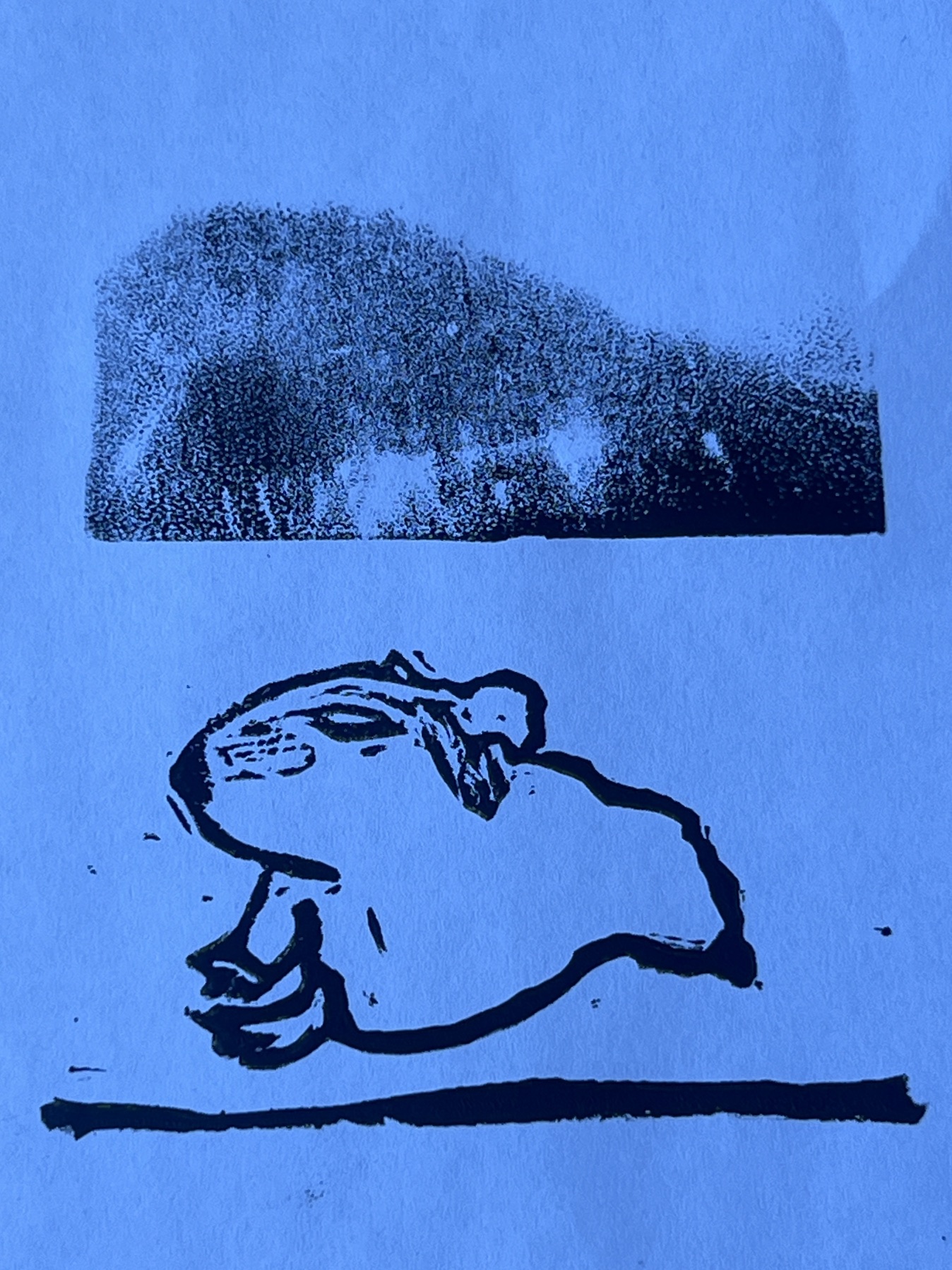 Print of a hamster about to be squished